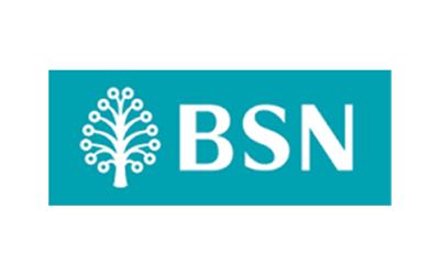 Online Casino BSN Bank