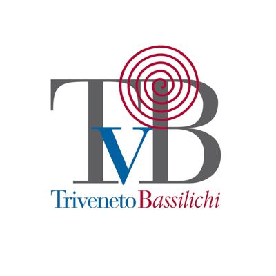 Consorzio Triveneto 