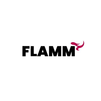 Flamm Casino 