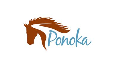 Online Casino Pobočka