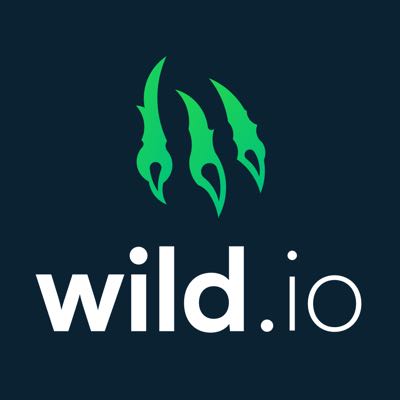 Wild.io Casino 